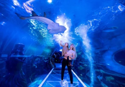 National Sea Life Centre Entrance Ticket